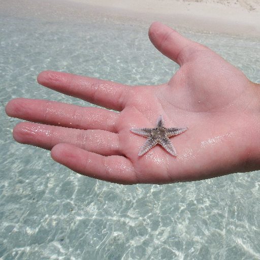 Lori Grover – Instructional Design & Technology